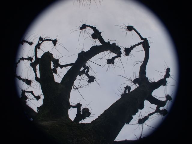 p0318649.jpg