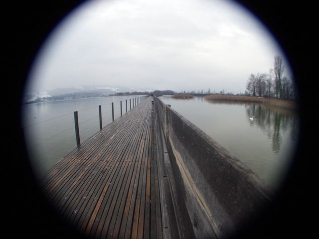 p0318672.jpg