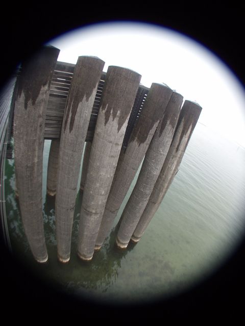 p0318692.jpg