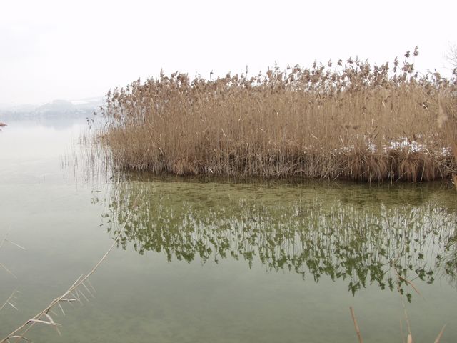 p1019003.jpg