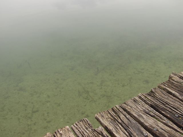p1019015.jpg