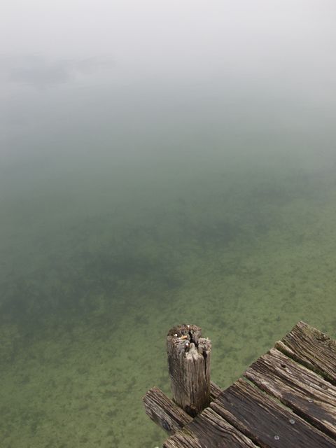p1019016.jpg
