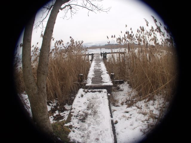 p1019028.jpg