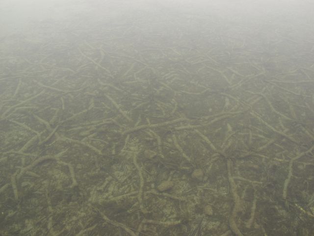 p1019034.jpg