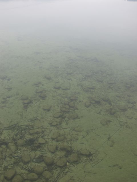 p1019037.jpg