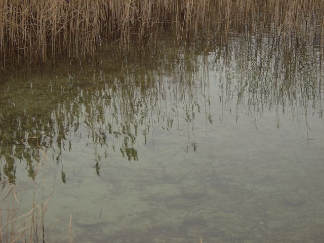 p1019040.jpg