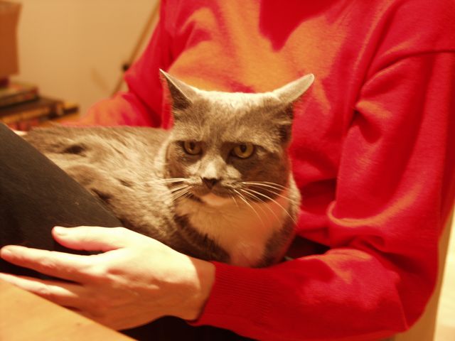 PC247655.JPG