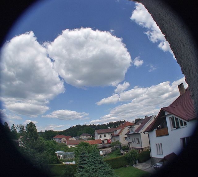 P5291989.jpg