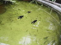P1014296.JPG