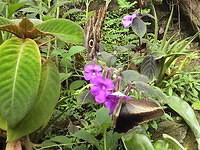 P1014304.JPG
