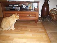 P1015042.JPG