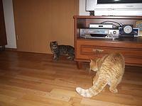 P1015044.JPG