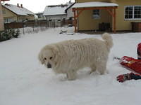 foto 073