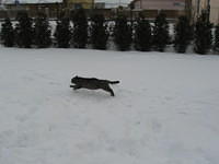 foto 095