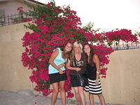 IMG 2479