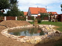 IMG 0412