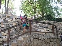 IMG 3312