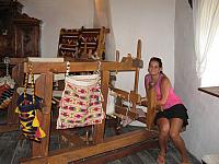 IMG 3313