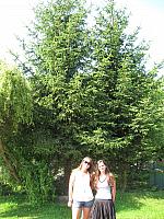 IMG 3246
