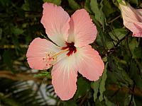 P9280026