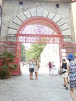 P8130202