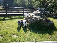 P6070021