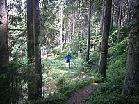 P6070028