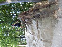 P8040140