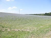 P8050261