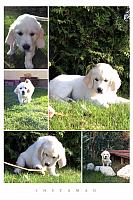 2016-04-07 13 Arwenka