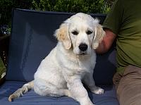 IMG 0689