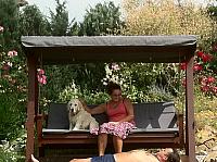 IMG 0772