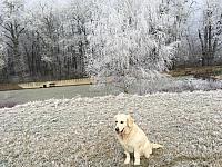 IMG 3071