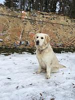 IMG 3172