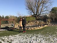 IMG 0460