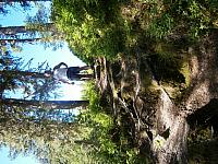 P6230115