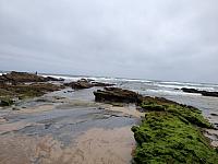 IMG 2309