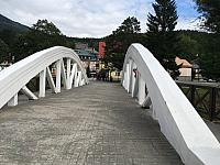 IMG 1334