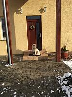 IMG 3114