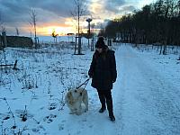 IMG 3175