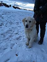 IMG 3187
