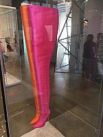 IMG 3542