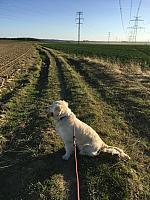 IMG 3617