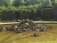 IMG 1106
