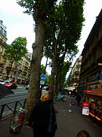 P4282521