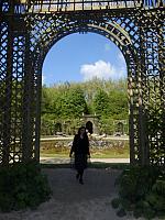 P4292565