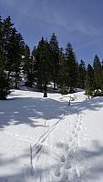EWEG3349