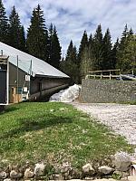 IMG 1175