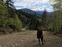 IMG 1179