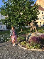 IMG 1798